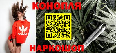 jwh Ставрополь